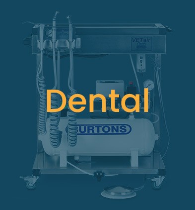 Clearance - Dental