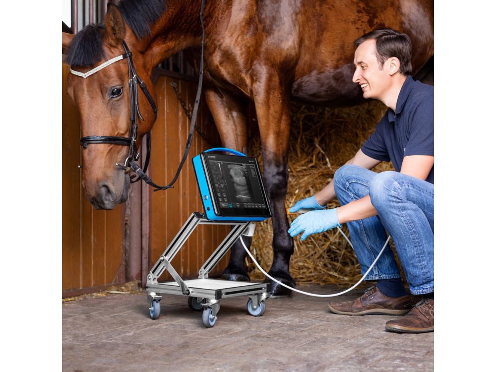 Draminski BLUE Portable Ultrasound System - Large Animal Package