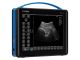 Draminski BLUE Portable Ultrasound System - Small Animal Package
