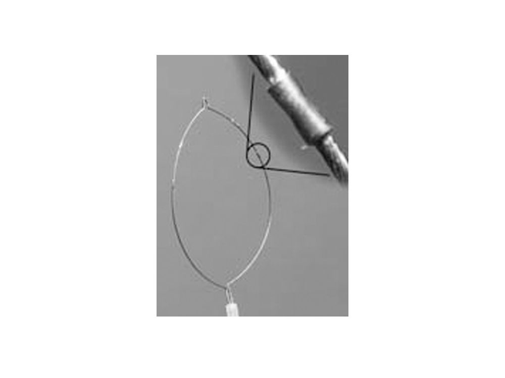 Jumbo Oval  Grabber Snare 2.4mm x 240cm 12.5cm Loop