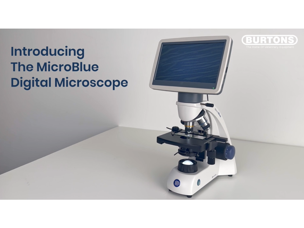 MicroBlue Digital Microscope