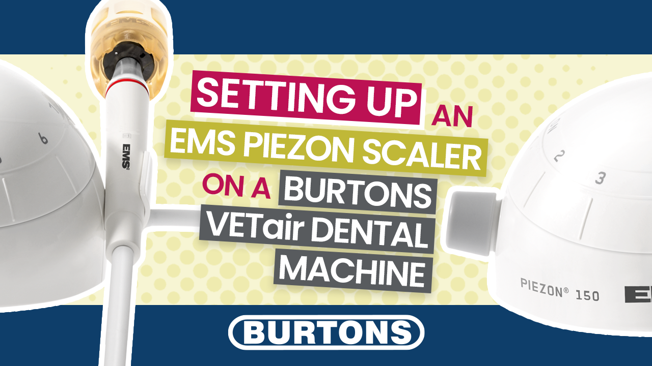 Setting up a EMS Piezon scaler on a Burtons VETair Dental Machine