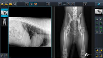 radiographic images